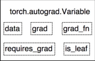01张量的介绍与创建