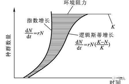 logistic人口模型_建筑模型