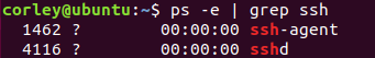 $ps -e | grep ssh