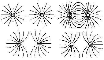 常见的电场线