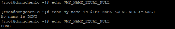 打印 DONG 并将其赋值给 MY_NAME_EQUAL_NULL 变量