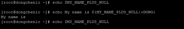由于 MY_NAME_PLUS_NULL 变量为空，什么都不打印