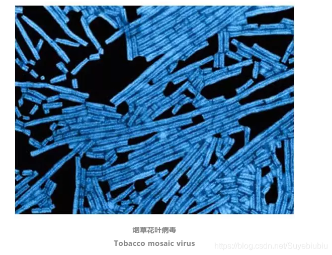 美国有病人口_脑子有病的图片(3)