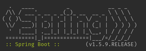 自定义启动时的“spring