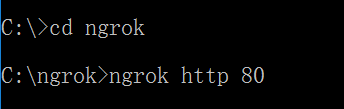 使用ngrok