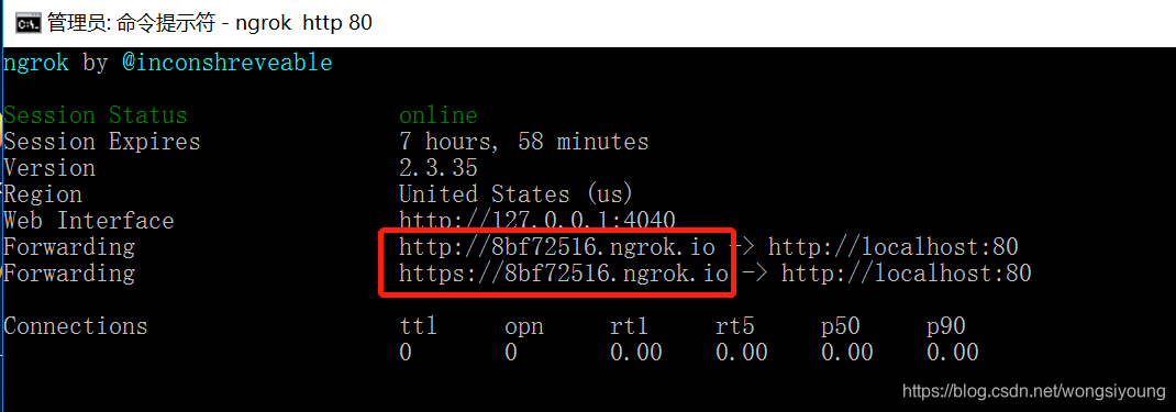 ngrok2