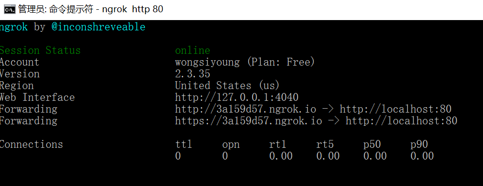 ngrok3