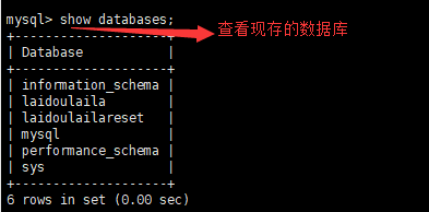 sql in xshell