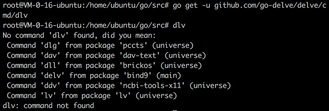 goland sync dependencies