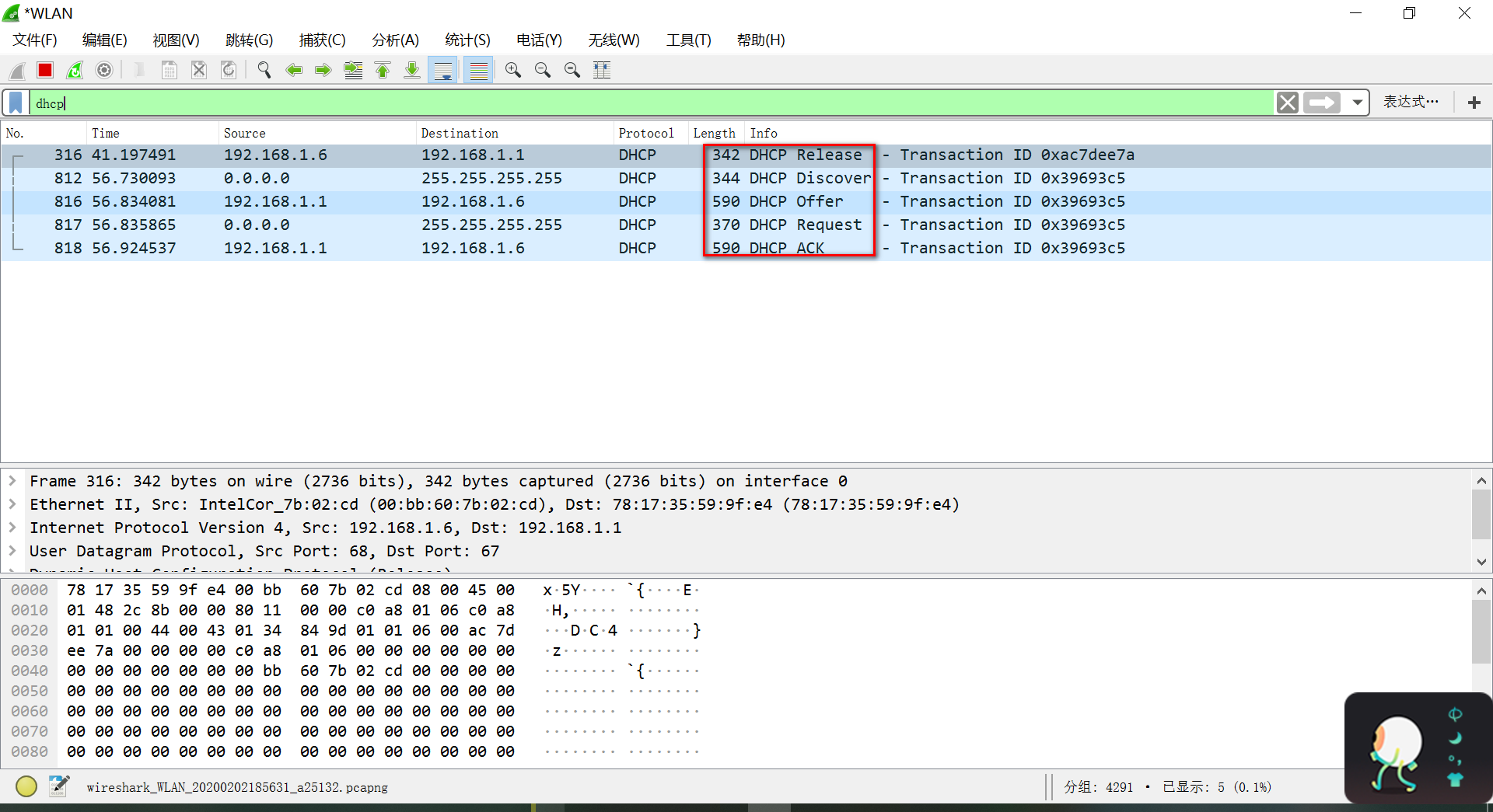 CCNA-DHCP抓包