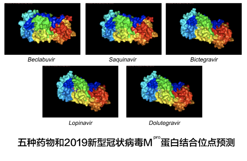 抗疫进展：多家科研机构联合筛选出五种可能有效的抗病毒药物