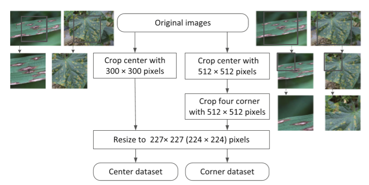 【文献阅读】植物病虫害识别小数据集实现高识别率Crop Disease Image Classification Based on ...