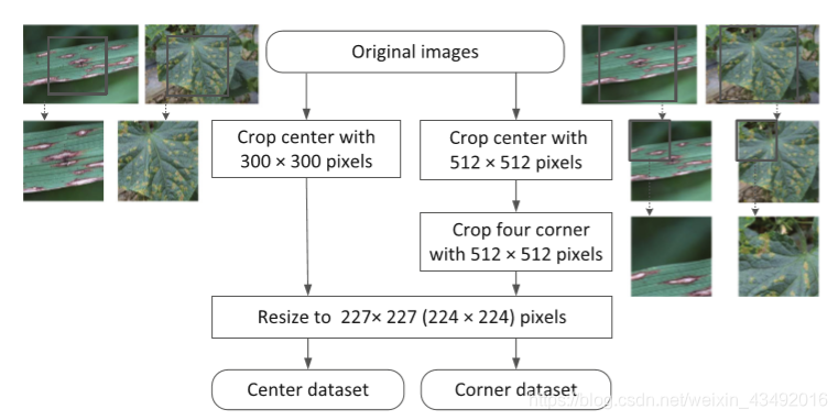 【文献阅读】植物病虫害识别小数据集实现高识别率Crop Disease Image Classification Based on ...
