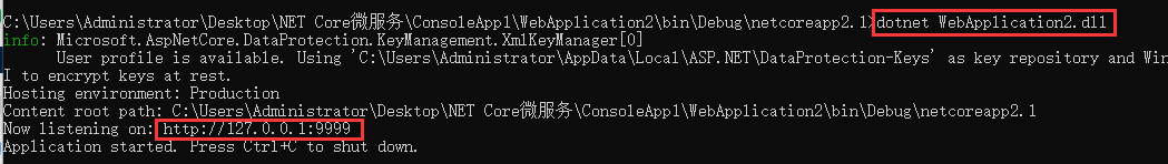 Net Core微服务：指定Web应用端口？WebApi?