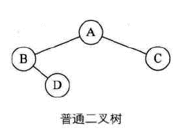 普通二叉树