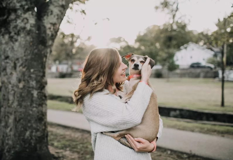 ���������ͼƬ����