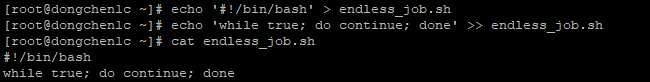 我们已经创建一个用以进行无限循环操作的 Shell 脚本