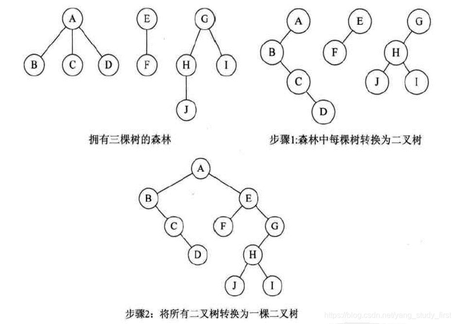 Forest conversion binary tree