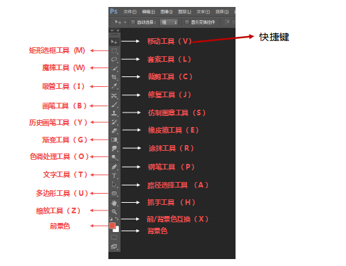 photoshop工具栏介绍图片