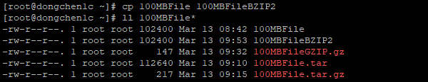 克隆出一个名为 100MBFileBZIP2 新文件并列出文件