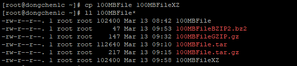 克隆出一个名为 100MBFileXZ 的新文件并列出文件