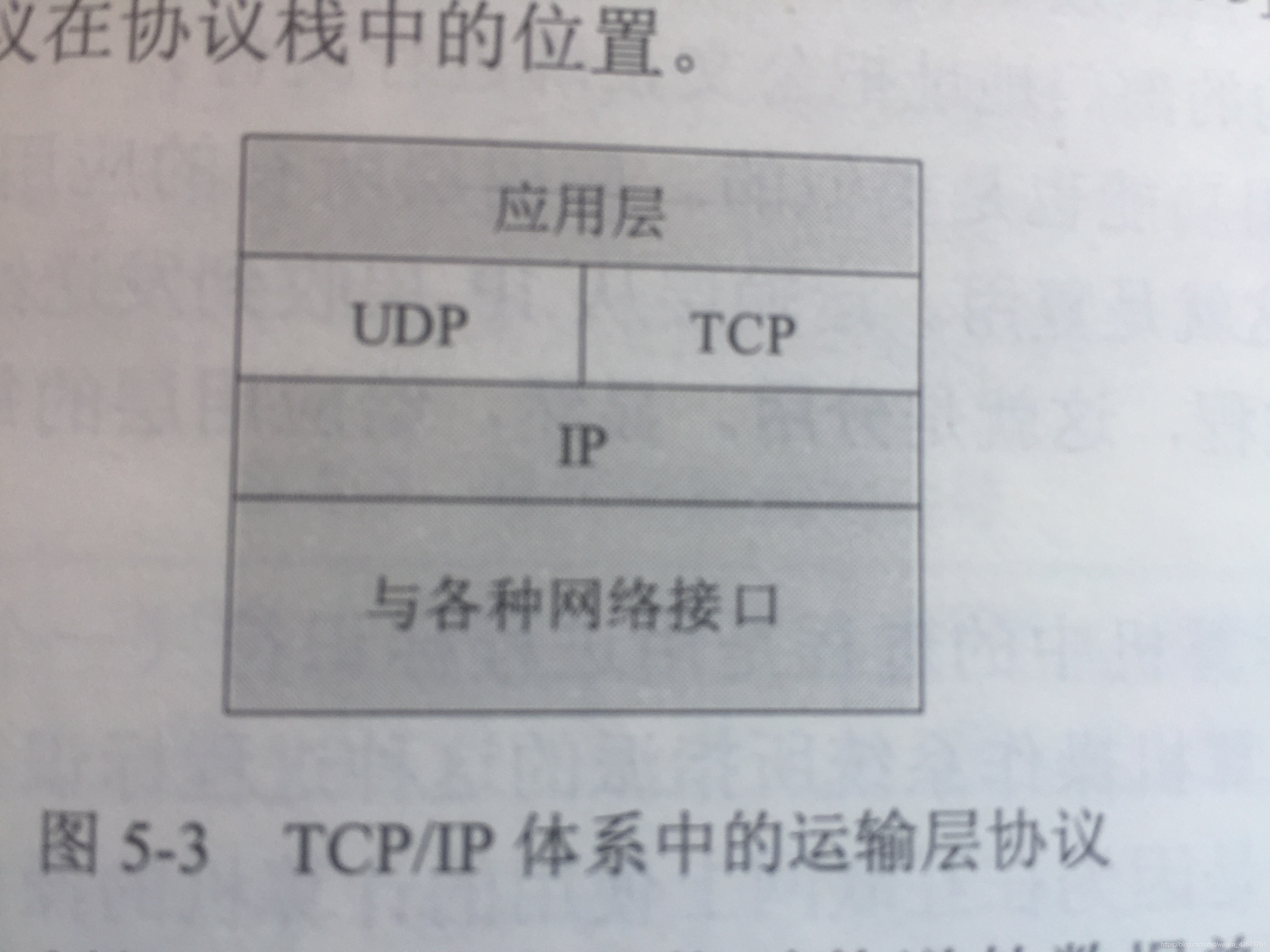 TCP/IP体系中的运输层协议