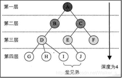 结点竖直概念