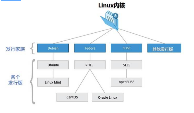 Linux学习笔记 Caesarding07 Csdn博客