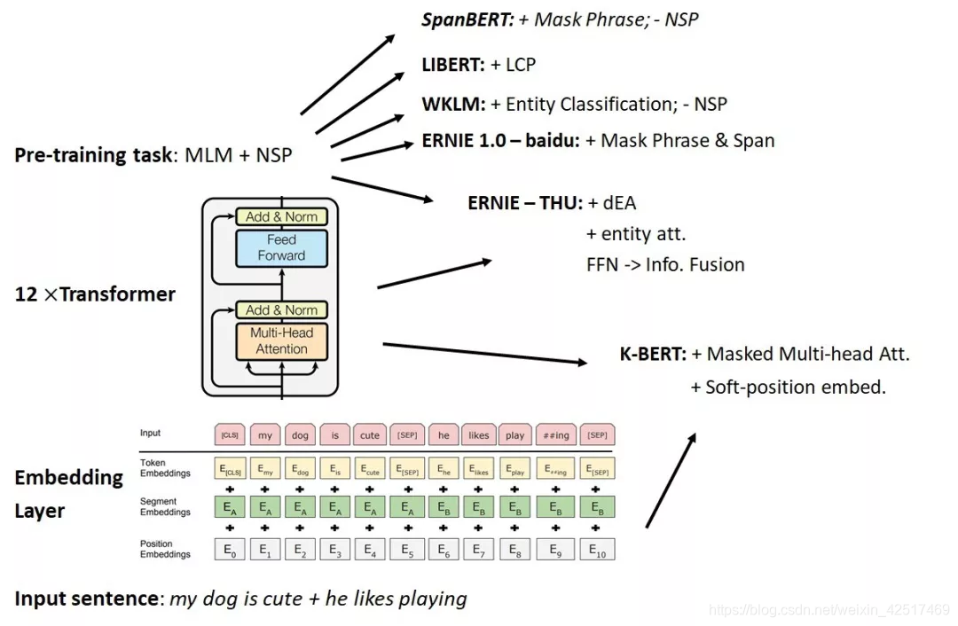 图1. Knowledge-injected BERTs的思路简图