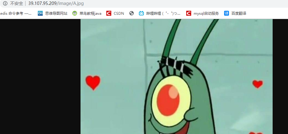 nginx动静分离高可用