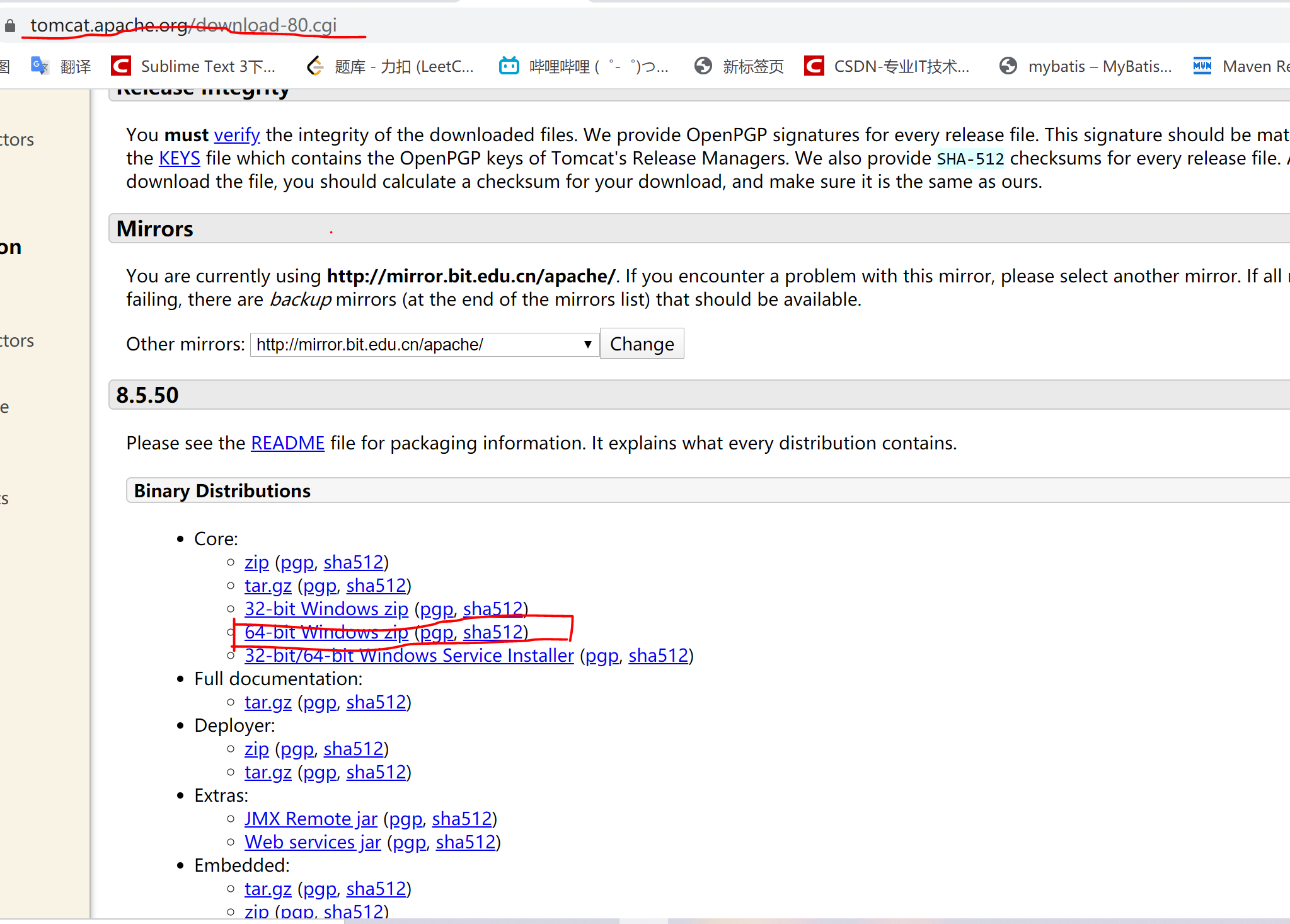 Tomcat安装配置过程及解决CATALINA_HOME environment variable is not defined