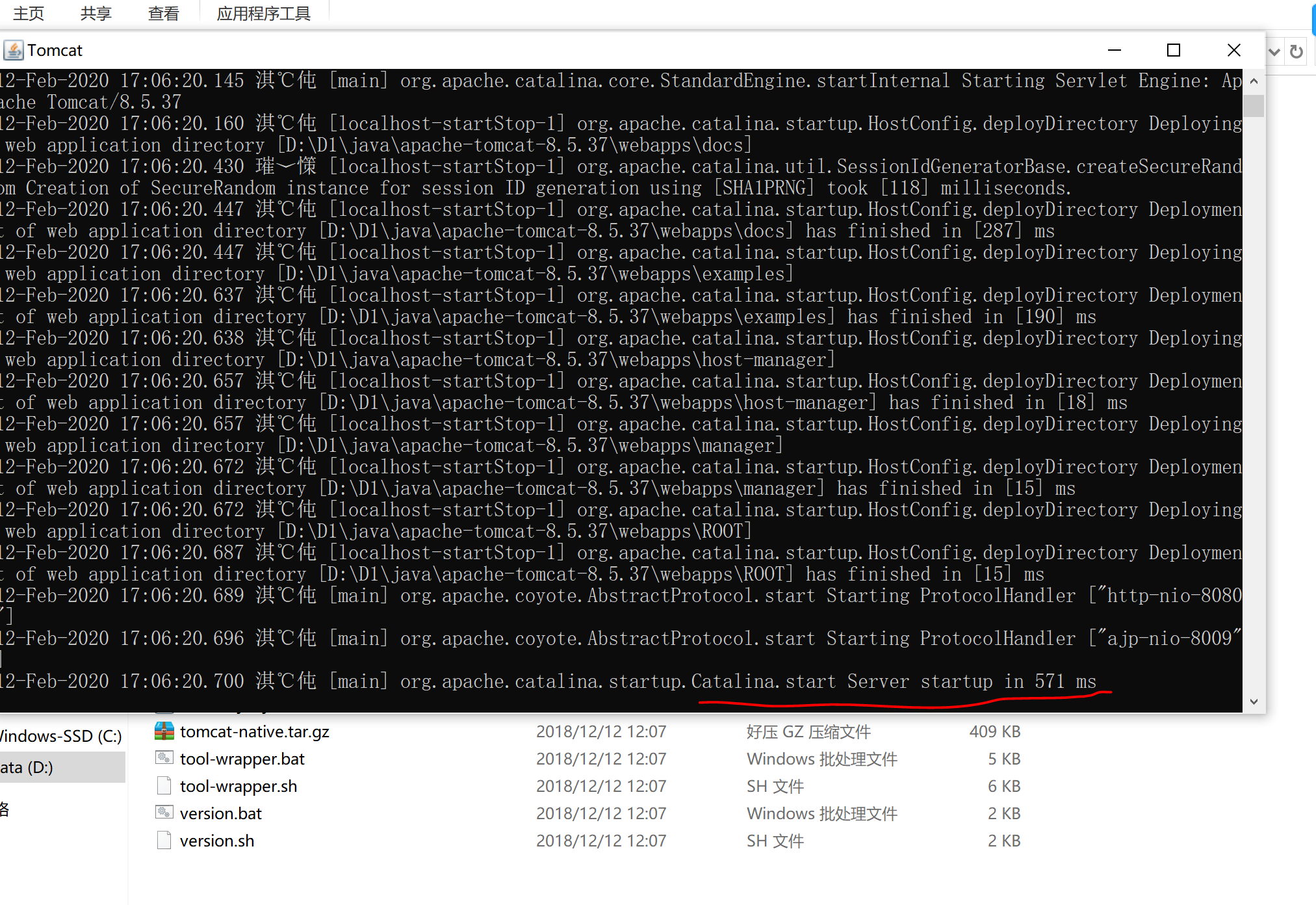 Set Catalina Home Environment Variable Linux