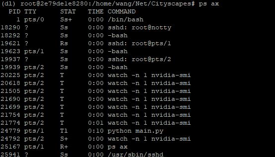 解决pytorch训练意外停止显存不释放的问题