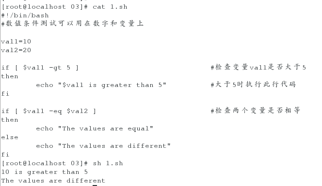 Shell中if Test命令 作死罢了 程序员its404 程序员its404