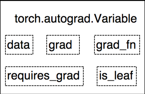 pytorch tensor