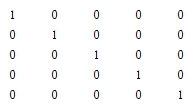 Identity Matrix