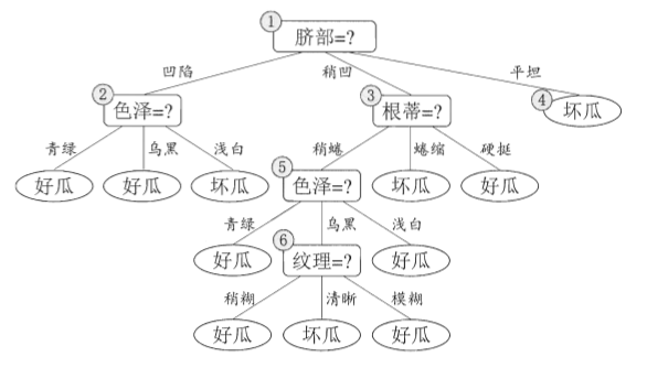 未剪枝决策树