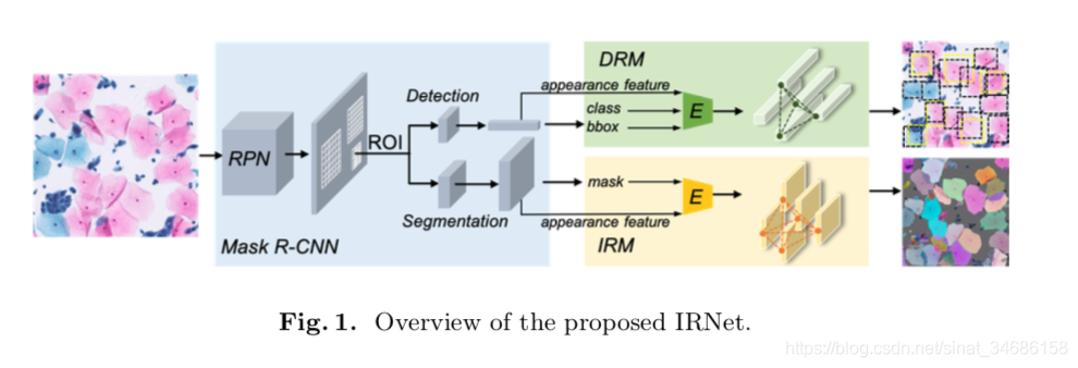 IRNet: Instance Relation Network for Overlapping Cervical Cell Segmentation