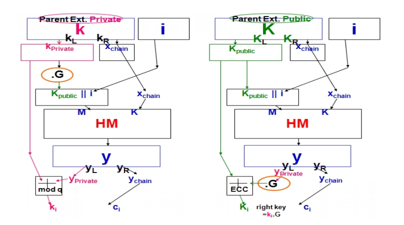 fig5