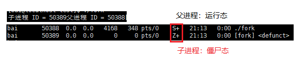 ここに画像の説明を挿入します