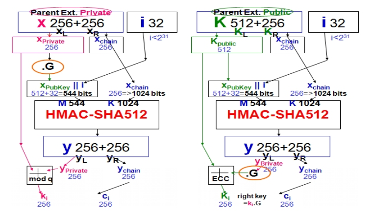 fig1