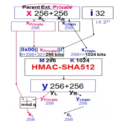 fig2