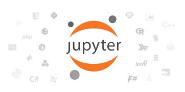 jupyter notebook download