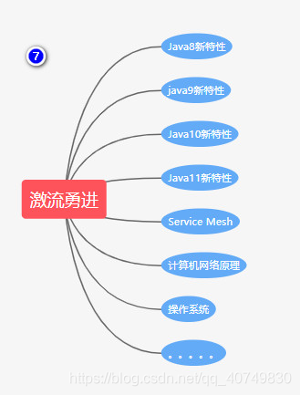 阶段七