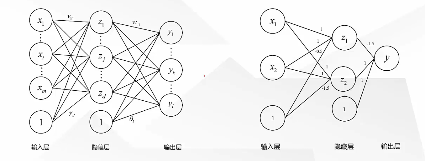 感知機的結構