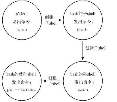 Linux Shell类型 Shell父子关系 子shell用法 平庸 程序员its301 Linux 子shell 程序员its301