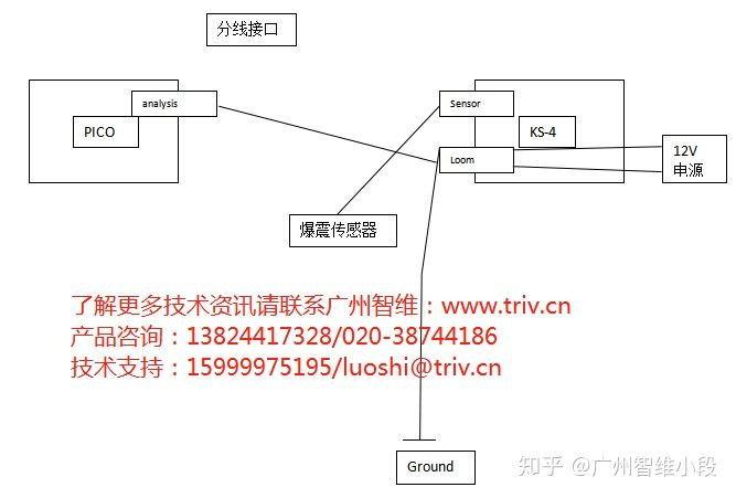 一款发动机爆震检测分析仪解决方案：英国 phormula 爆震检测分析仪+PICO