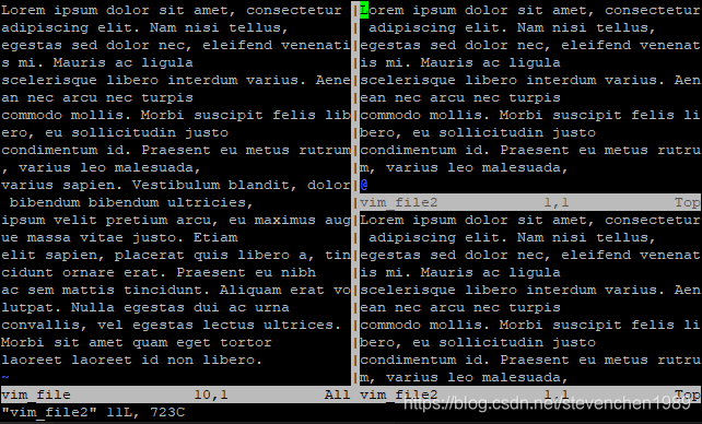 以水平铺开方式来在另一个窗口打开 vim_file2 文件。