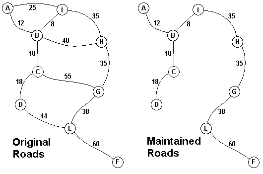 丛林中的路