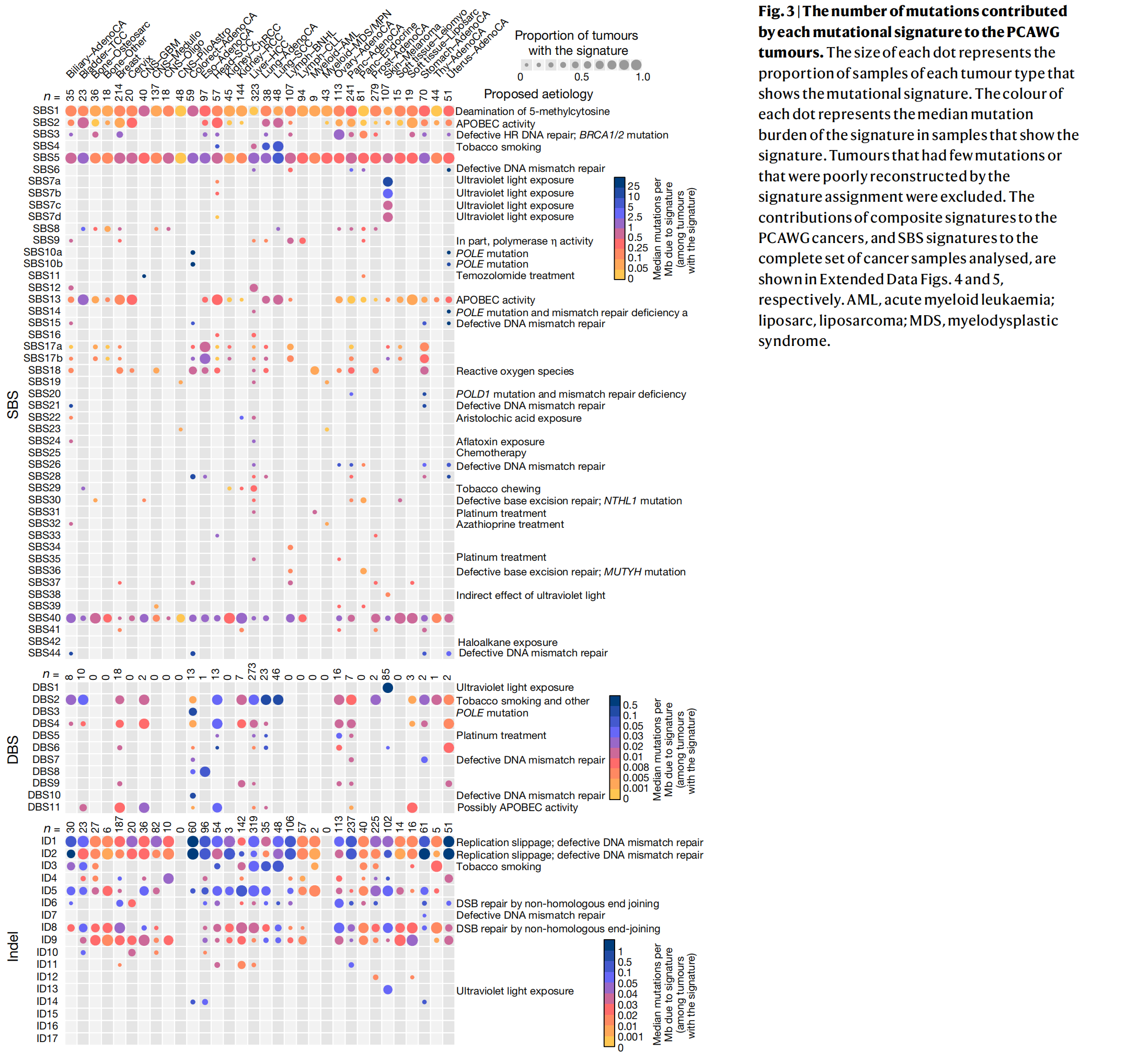 四、肿瘤全基因组学体细胞点突变特征（The Repertoire Of Mutational Signatures In Human ...